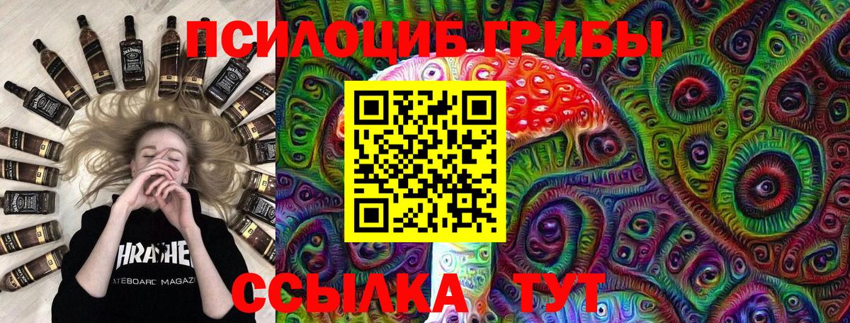 Псилоцибиновые грибы Psilocybe  закладка  Александров  Вход с VPN 