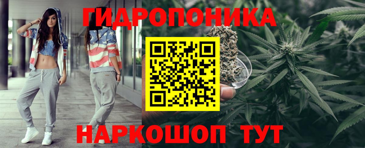 Марихуана конопля Александров